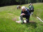 Wildkräuterwochen 